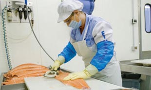 certificazioni2